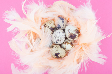 Similar image 8480155