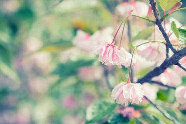 Similar image 8480232