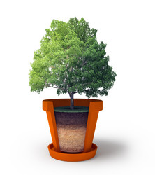 Similar image 8480394