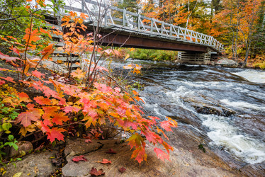 Similar image 8480488