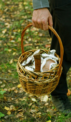 Similar image 8480496