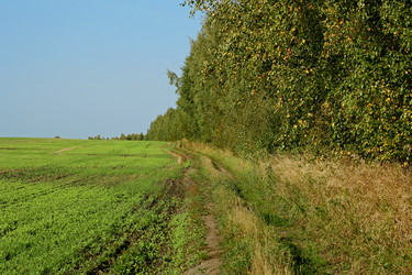 Similar image 8480497