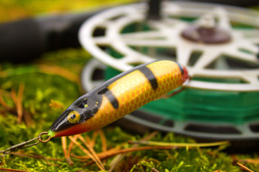 Similar image 8480516