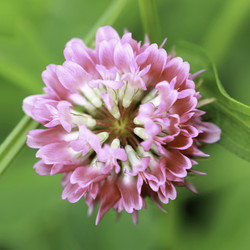 Similar image 8480539