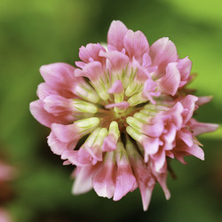 Similar image 8480542