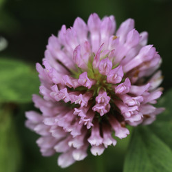 Similar image 8480543