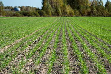 Similar image 8480559