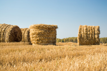 Similar image 8480561