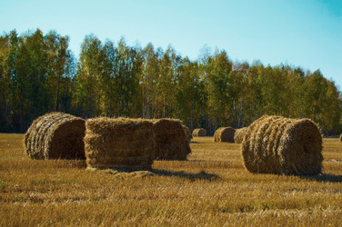 Similar image 8480562