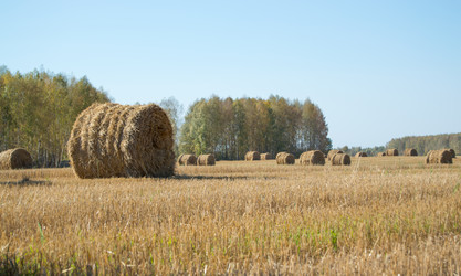 Similar image 8480563