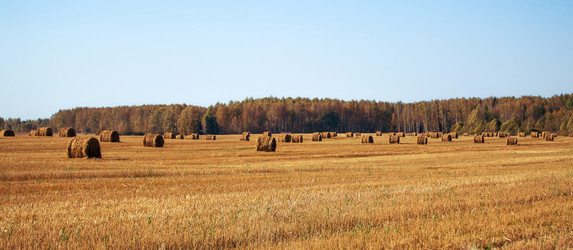 Similar image 8480564