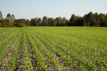 Similar image 8480565