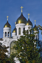 Similar image 8480616