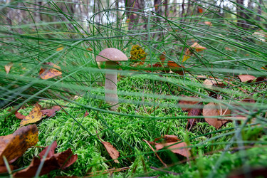 Similar image 8480618