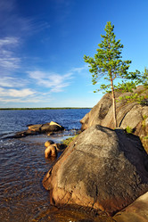 Similar image 8480620