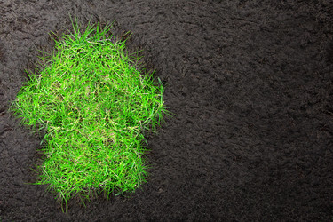 Similar image 8480644