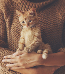 Similar image 8480800