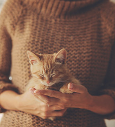 Similar image 8480802