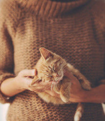 Similar image 8480805