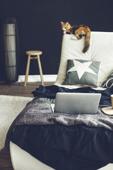 Similar image 8480807