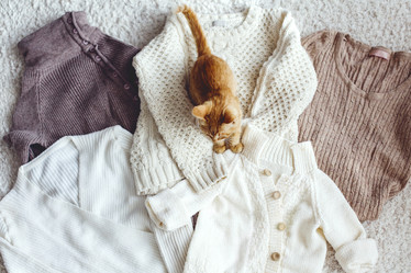 Similar image 8480977