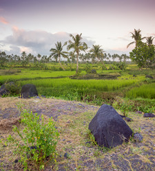 Similar image 8481008