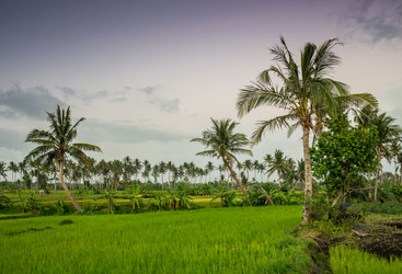 Similar image 8481029