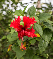 Similar image 8481046