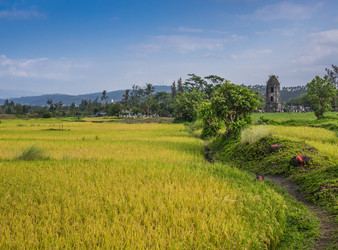 Similar image 8481048