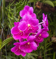 Similar image 8481053