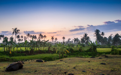 Similar image 8481057