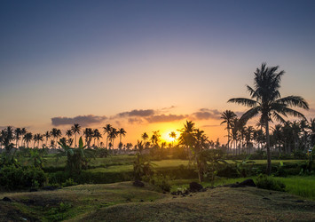 Similar image 8481060