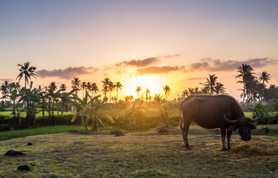 Similar image 8481061