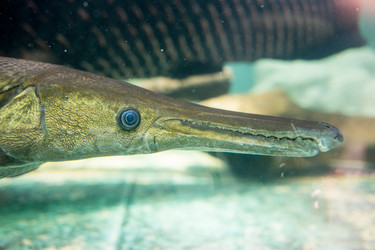 Similar image 8481072