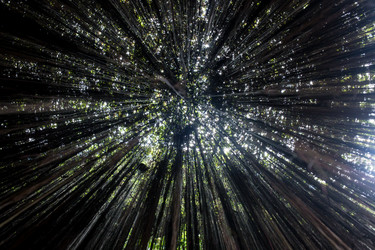 Similar image 8481073