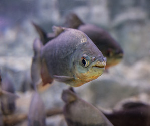 Similar image 8481084