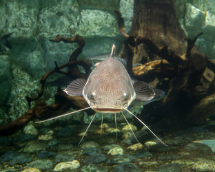 Similar image 8481085