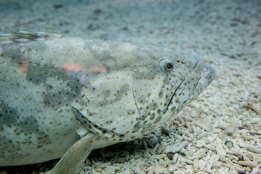 Similar image 8481086