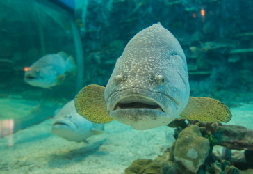 Similar image 8481087