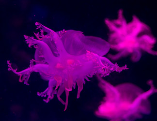 Similar image 8481090