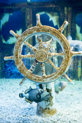 Similar image 8481095