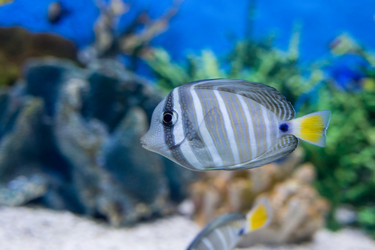 Similar image 8481097