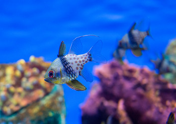 Similar image 8481098