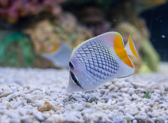 Similar image 8481099