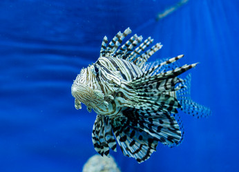 Similar image 8481100