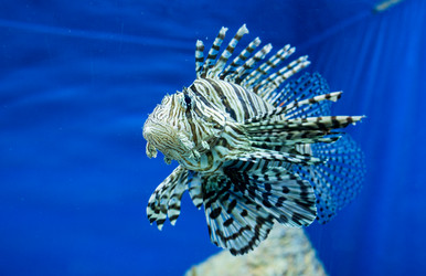 Similar image 8481101