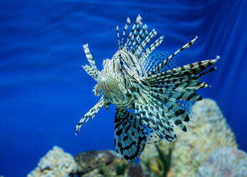 Similar image 8481102