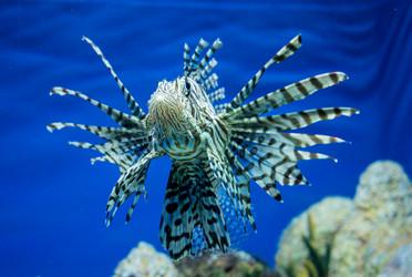 Similar image 8481103