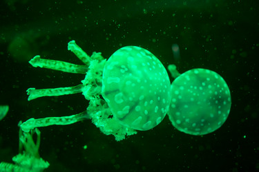 Similar image 8481104