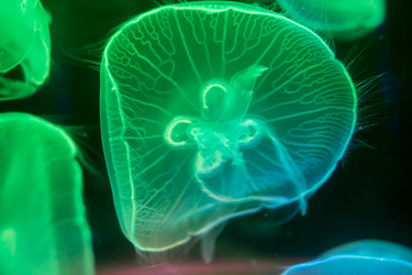 Similar image 8481139